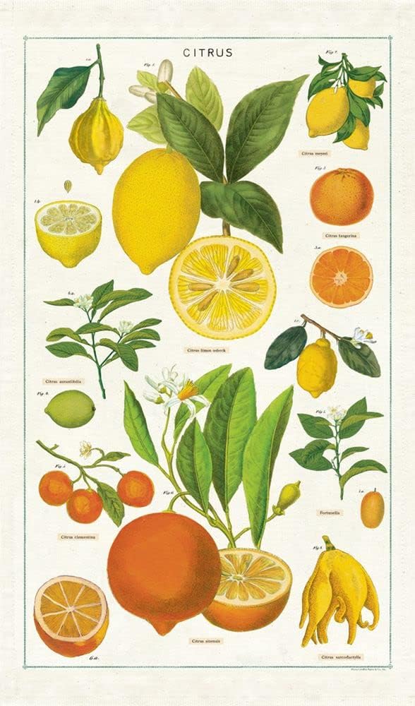 Cavallini Tea Towel Citrus