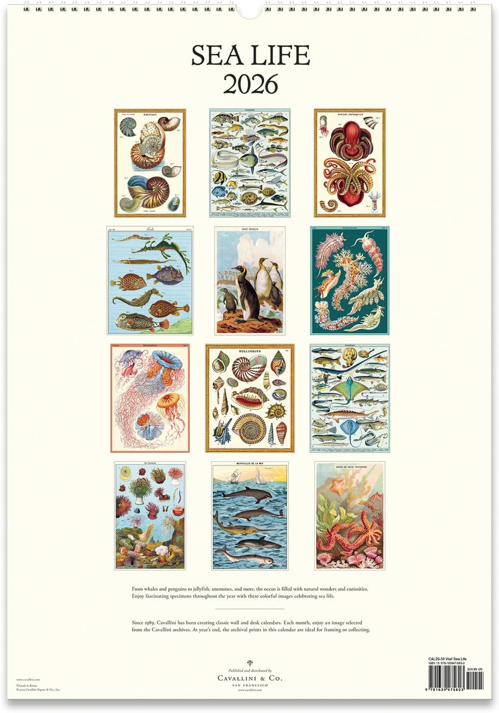 Cavallini Wandkalender 2026 Sea Life