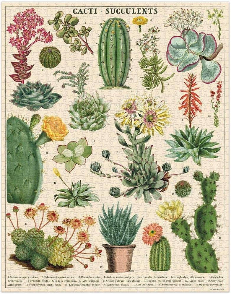 Cavallini Vintage Puzzle "Sukkulenten"