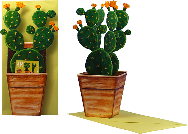 3D Blumentopfkarte "Kaktus"