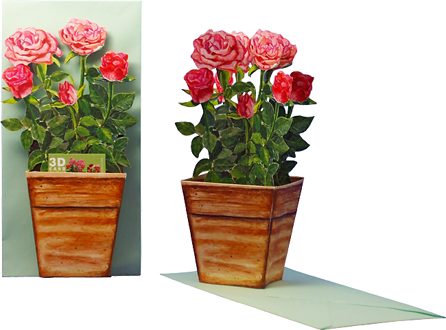  3D Blumentopfkarte "Rosen"