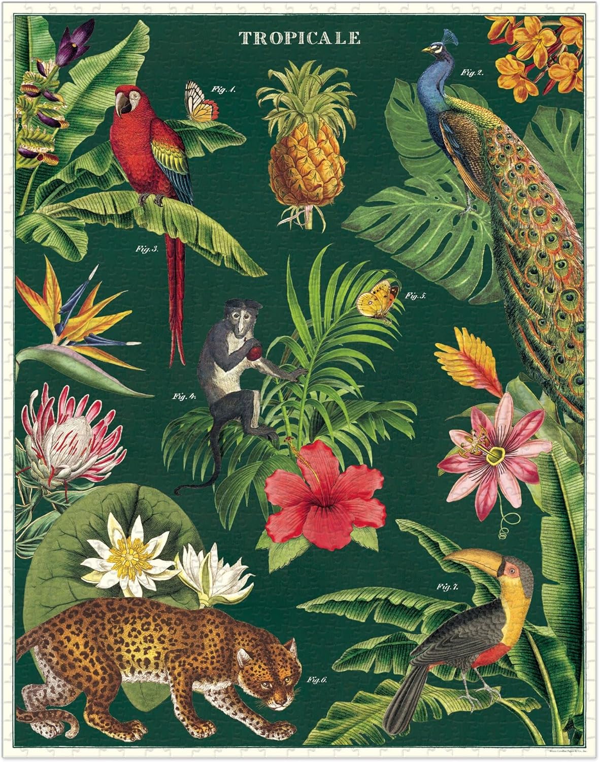 Cavallini Vintage Puzzle Tropicale
