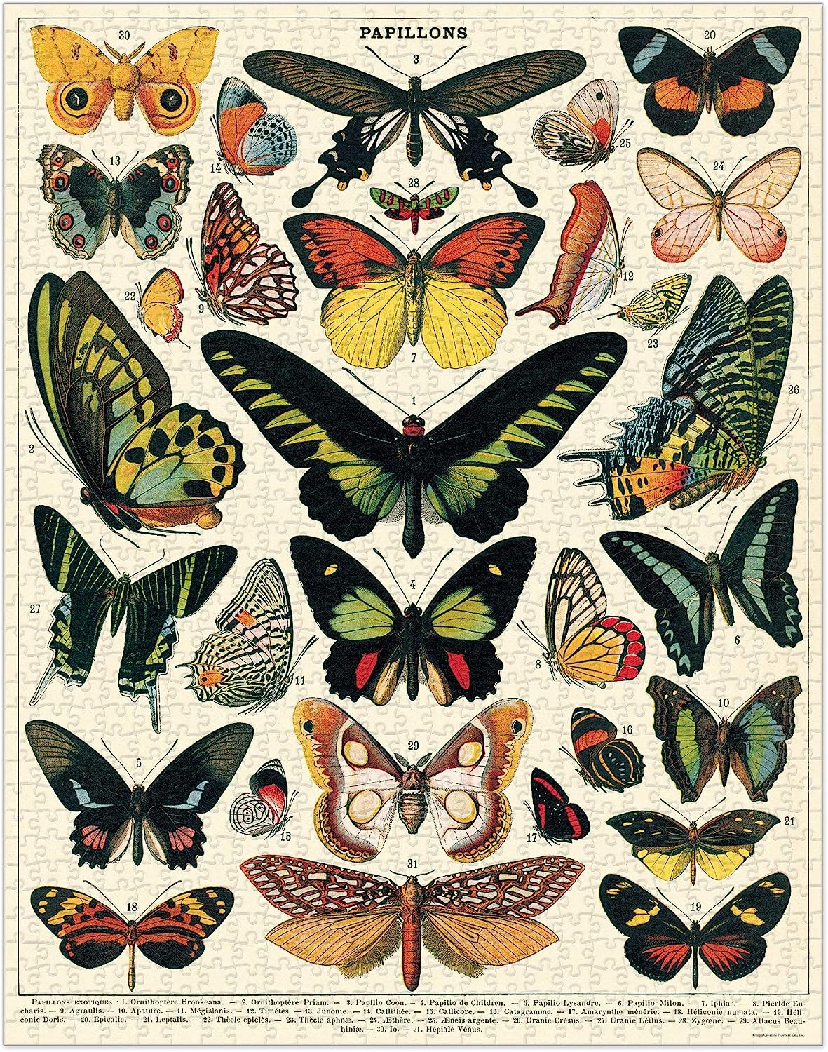 Cavallini Vintage Puzzle "Butterflies"