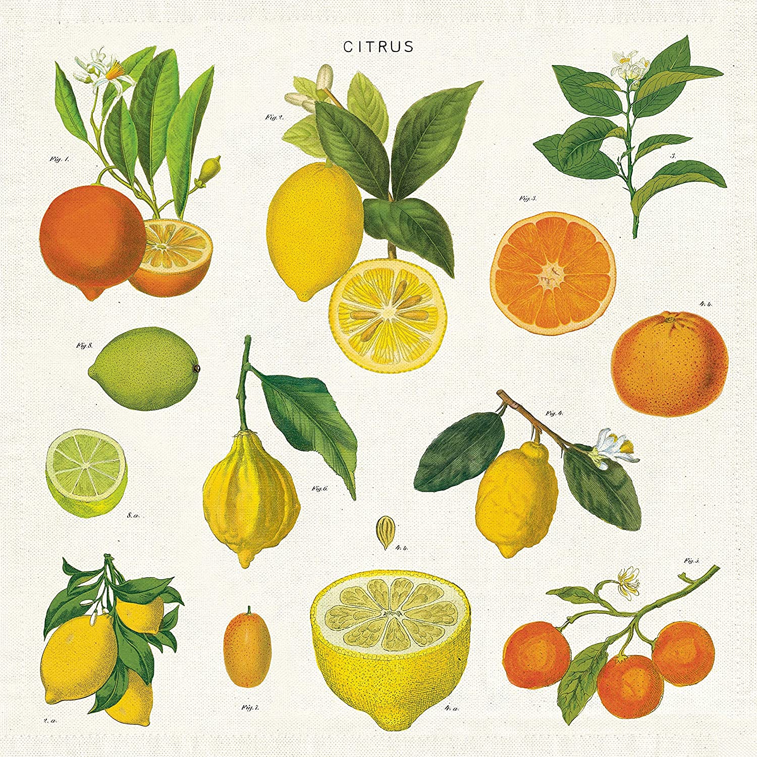 Cavallini Stoff-Servietten Citrus (4 Stück)