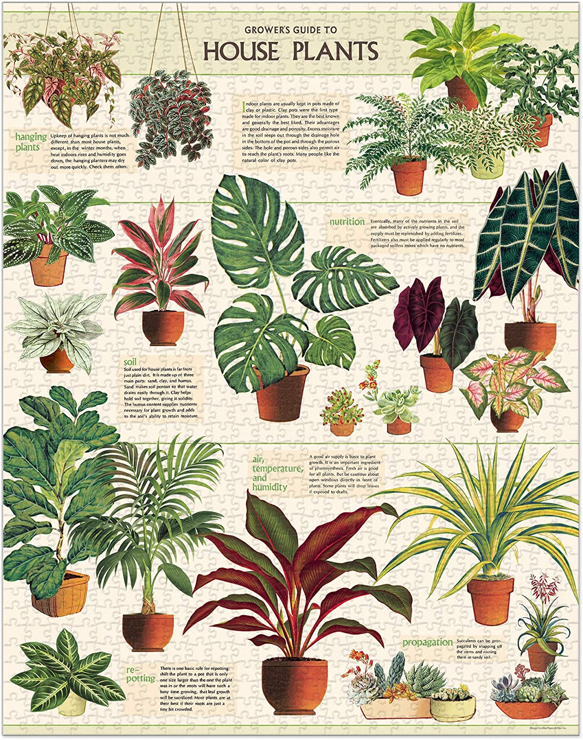 Cavallini Vintage Puzzle "House Plants"