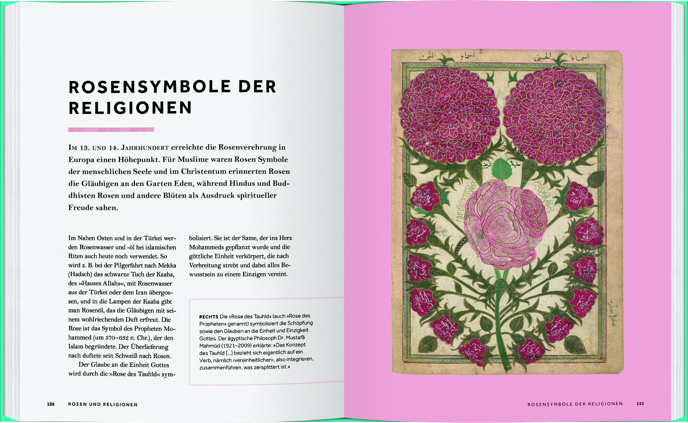 Rosen- Die Geschichte der Rose