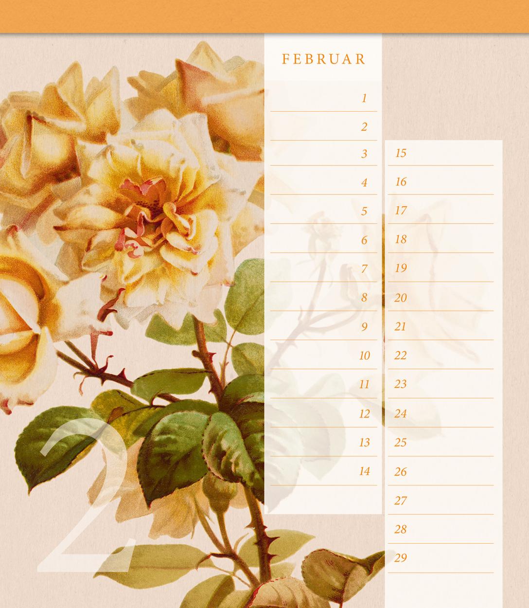 Geburtstagskalender "Geschichte der Rose" Geburtstagskalender "Geschichte der Rose"