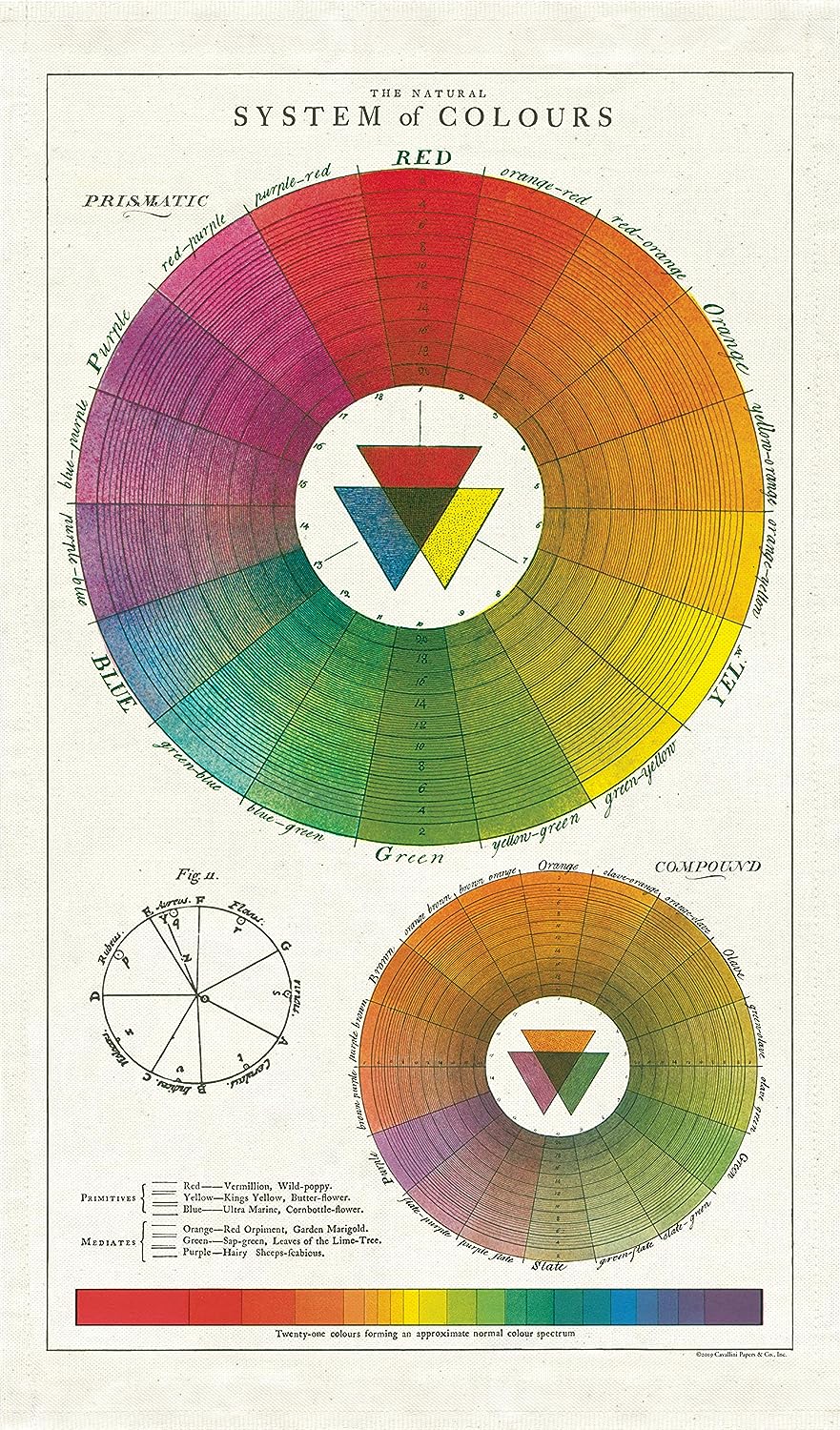 Cavallini Tea Towel "Color Wheel"