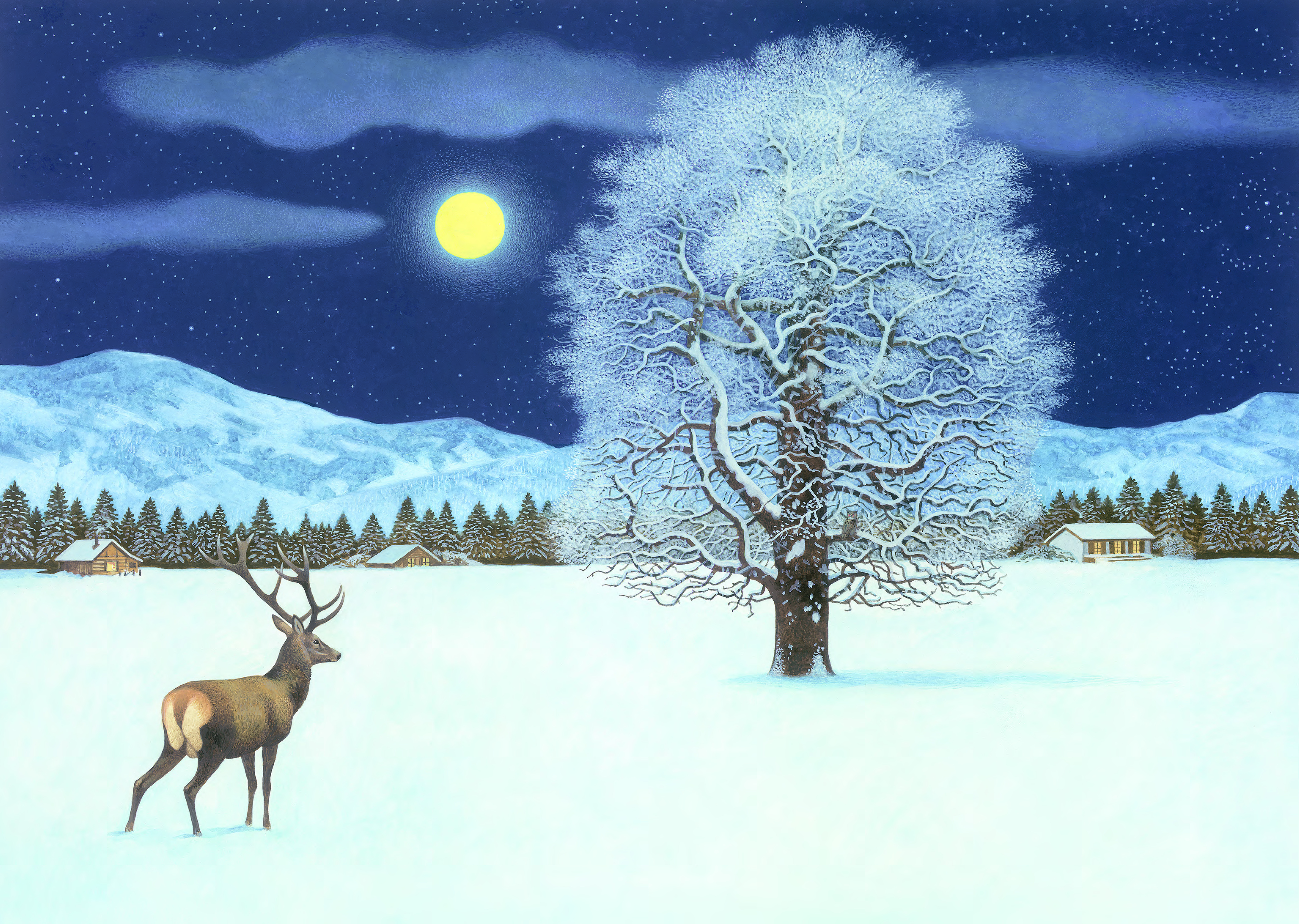 Adventskalender "Zauberhafte Winternacht"