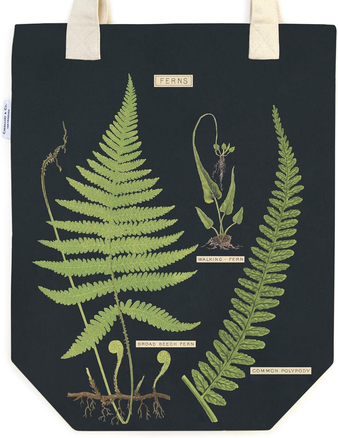 Cavallini Tragetasche Farn