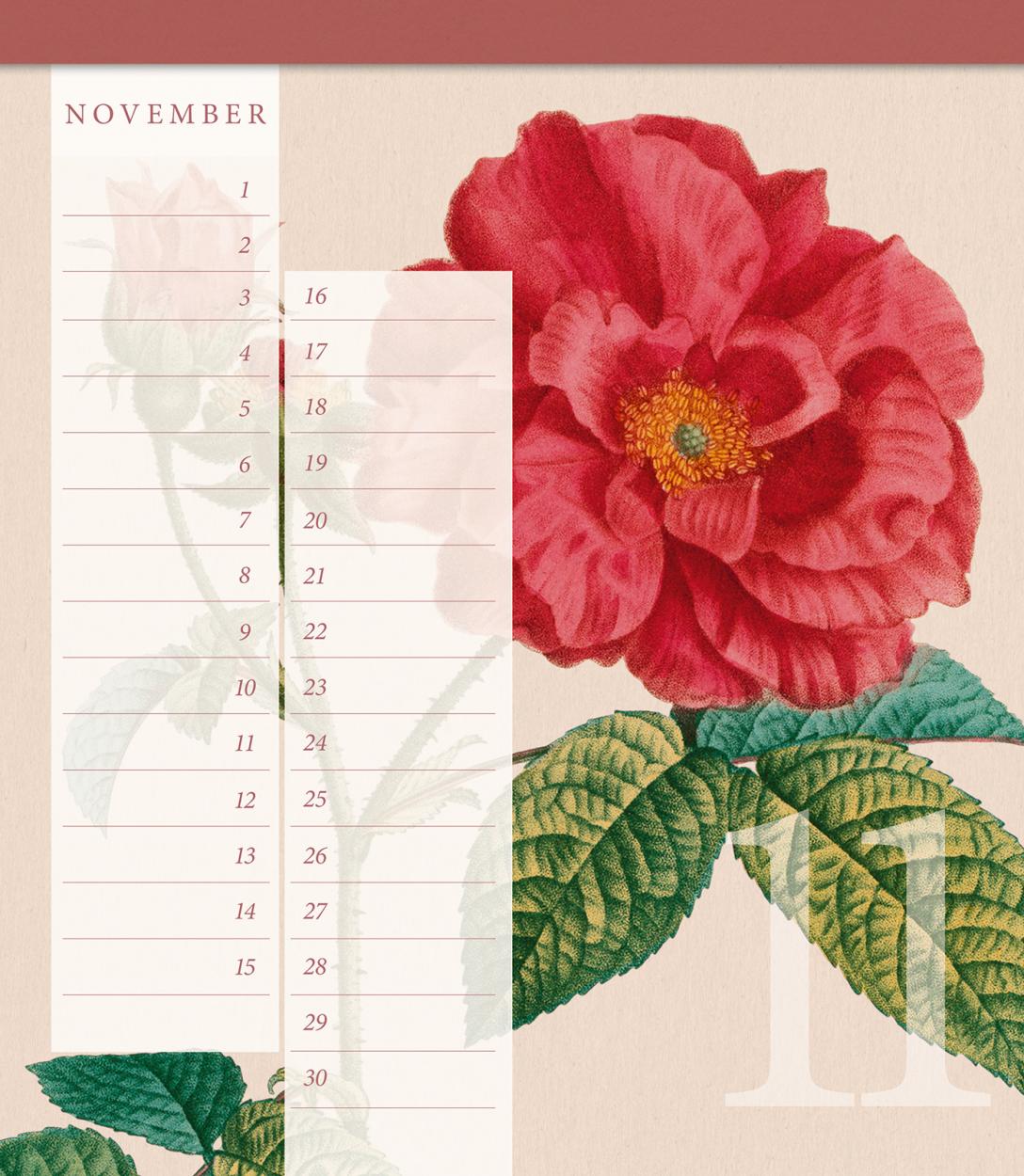 Geburtstagskalender "Geschichte der Rose" Geburtstagskalender "Geschichte der Rose"