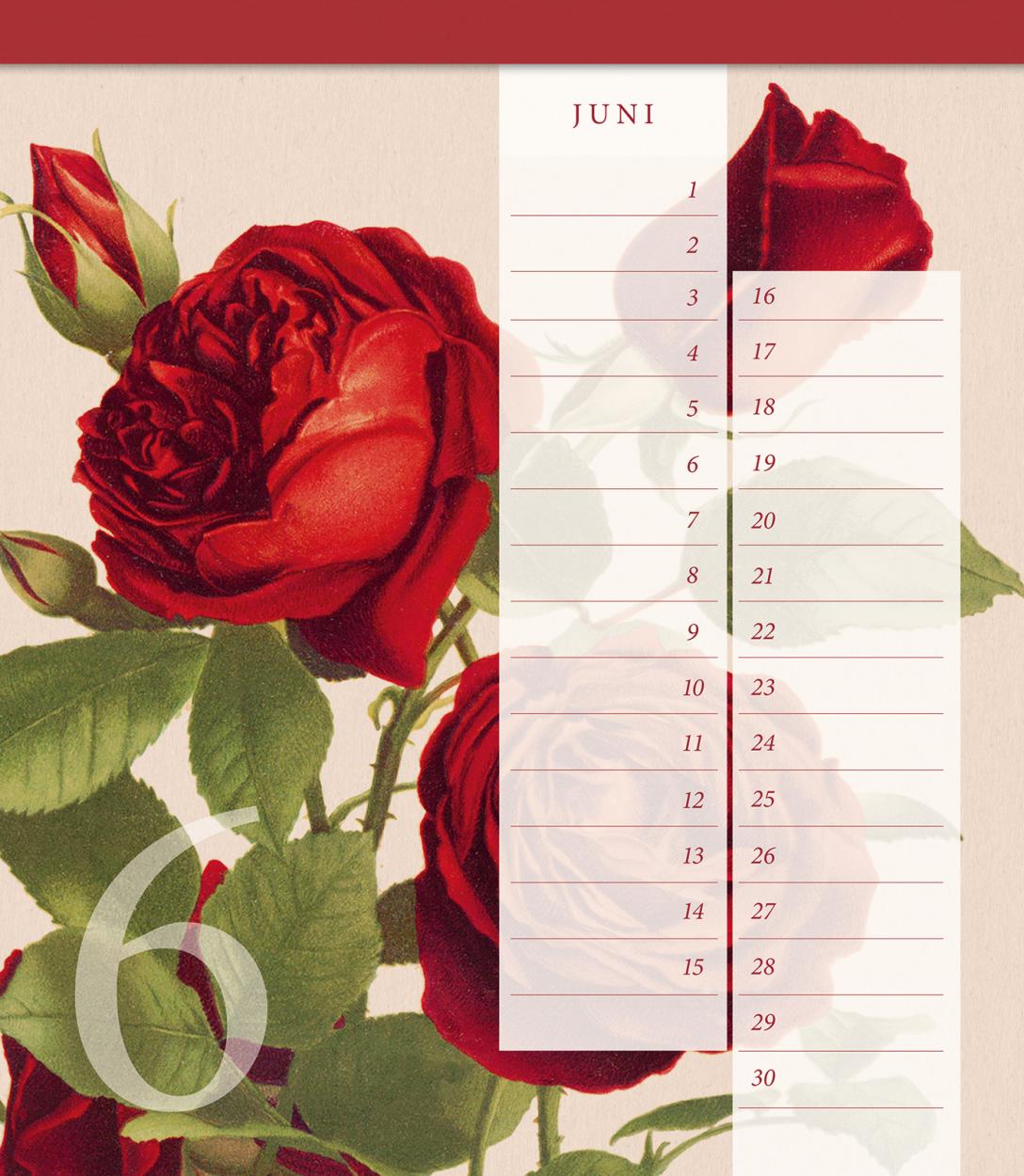 Geburtstagskalender "Geschichte der Rose"