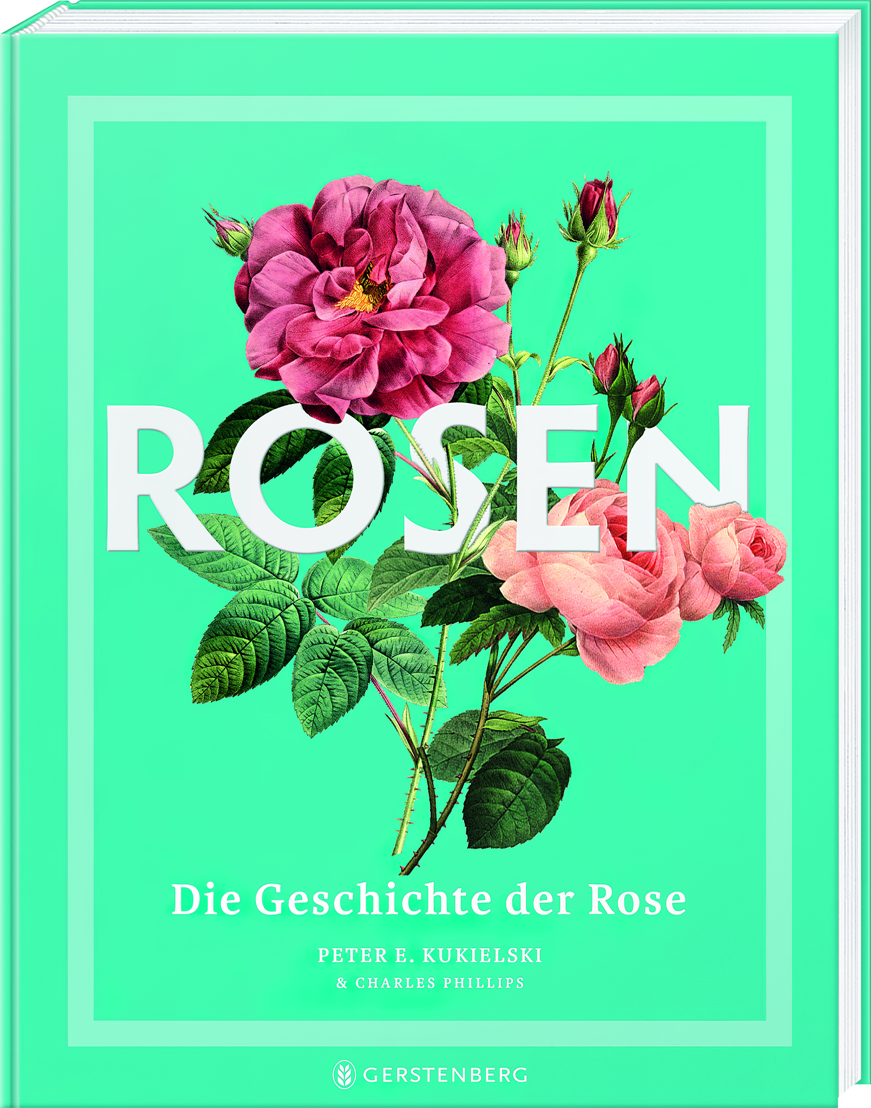 Rosen- Die Geschichte der Rose