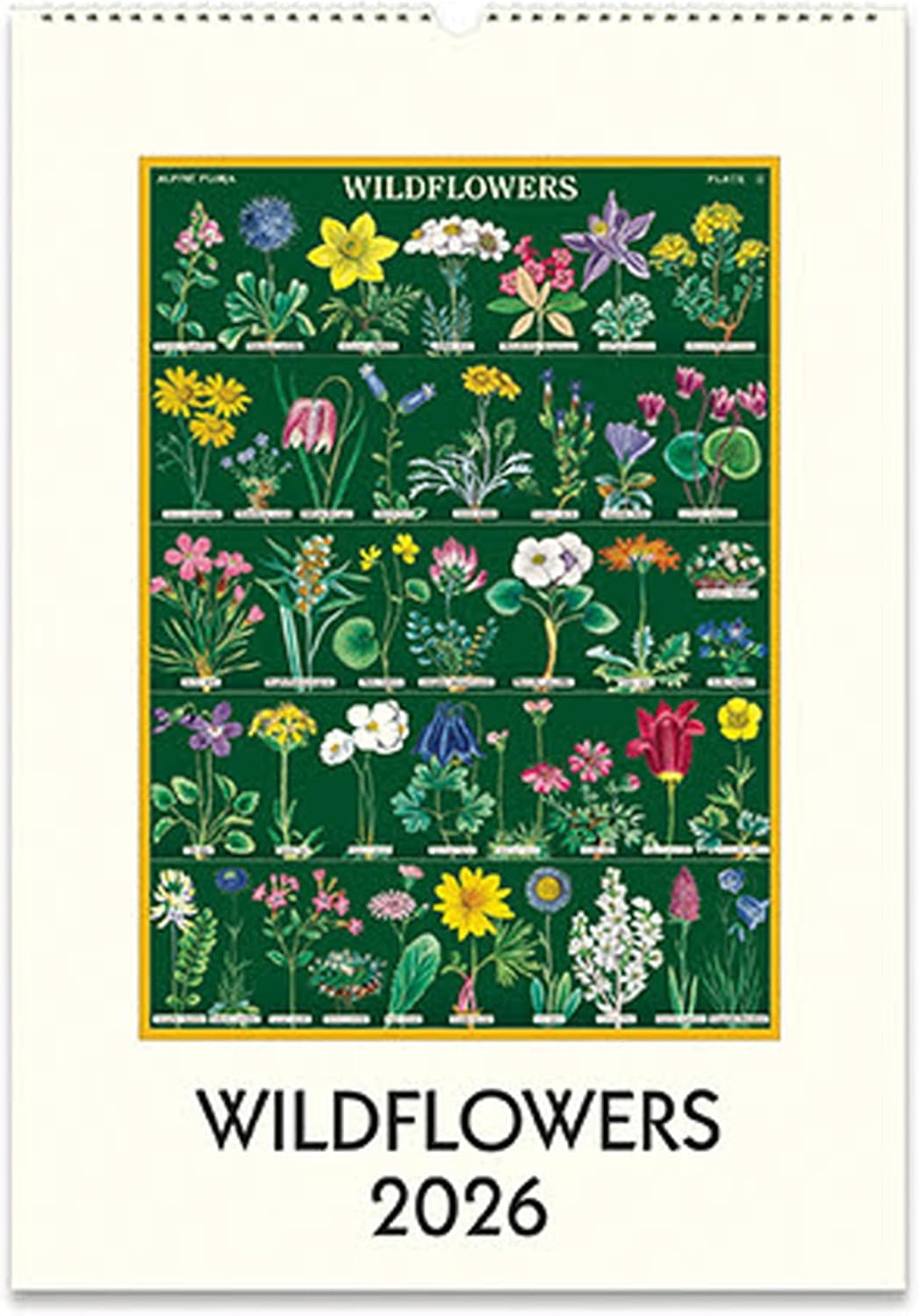 Cavallini Wandkalender 2026 Wildflowers