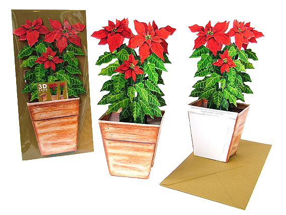 3D Blumentopfkarte "Weihnachtsstern"