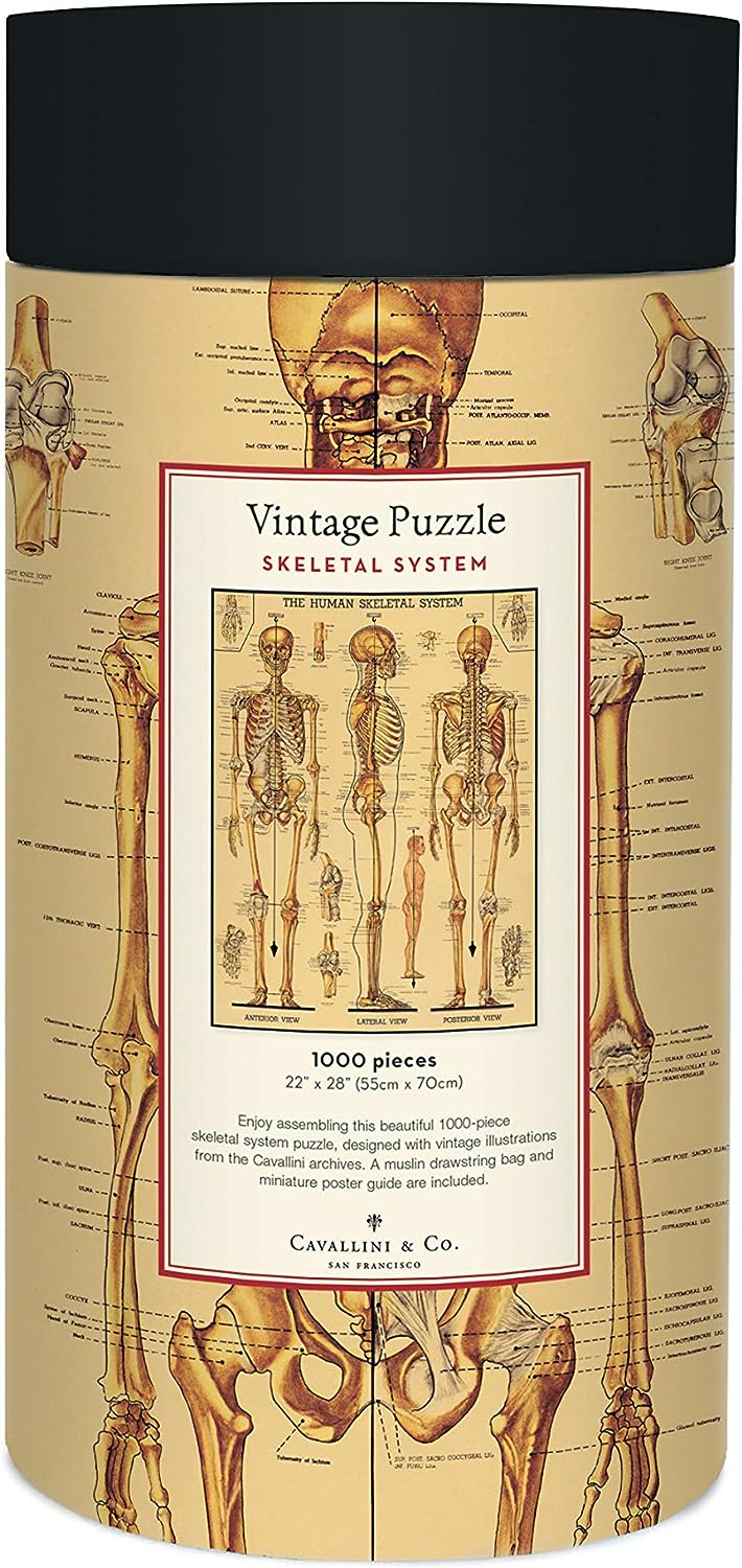 Cavallini Vintage Puzzle "Skeletal System"