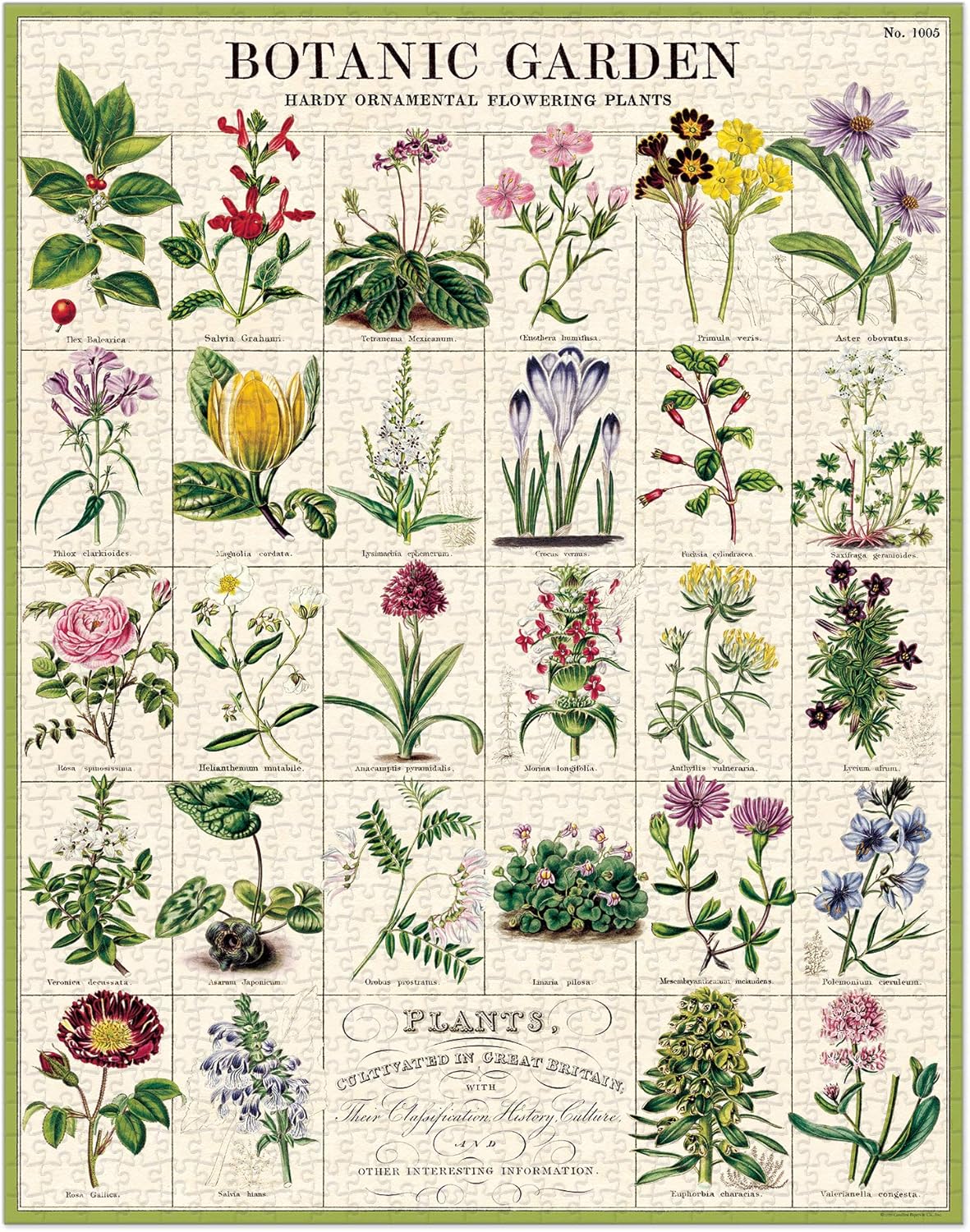 Cavallini Vintage Puzzle Botanic Garden