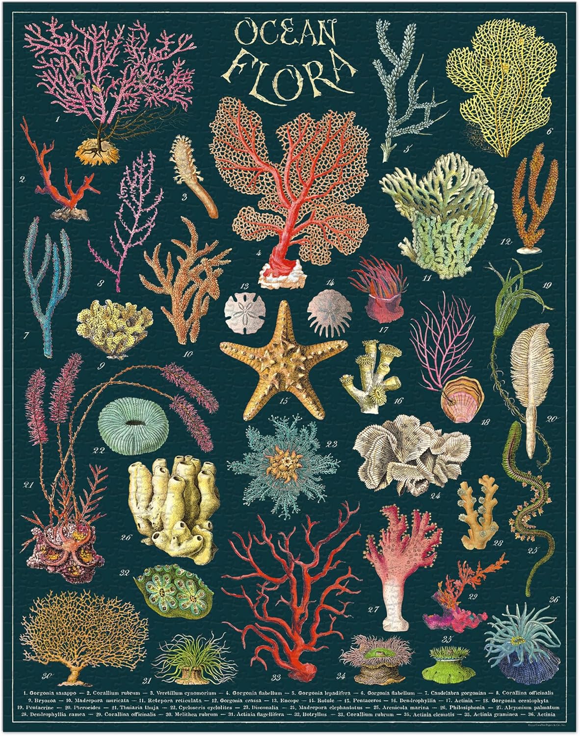 Cavallini Vintage Puzzle Ocean Flora